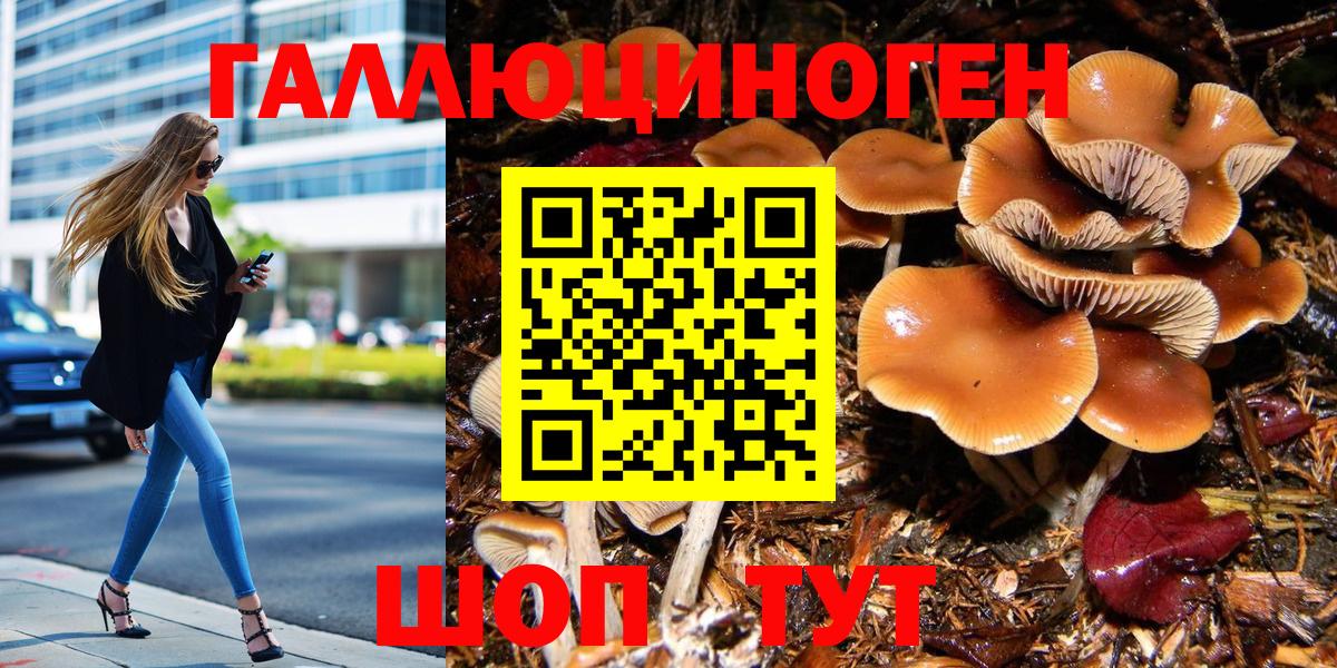 Псилоцибиновые грибы Psilocybine cubensis Зерноград