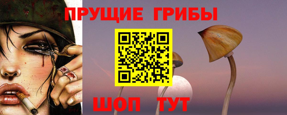 Галлюциногенные грибы Psilocybine cubensis  Вход с VPN  Зерноград 